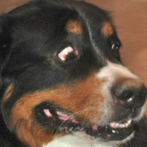 Meet your Posher, Ignacio